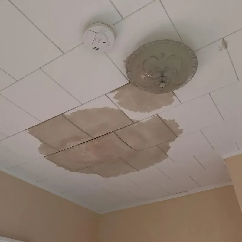 Ceiling Water Damage Repair in Vinco, PA