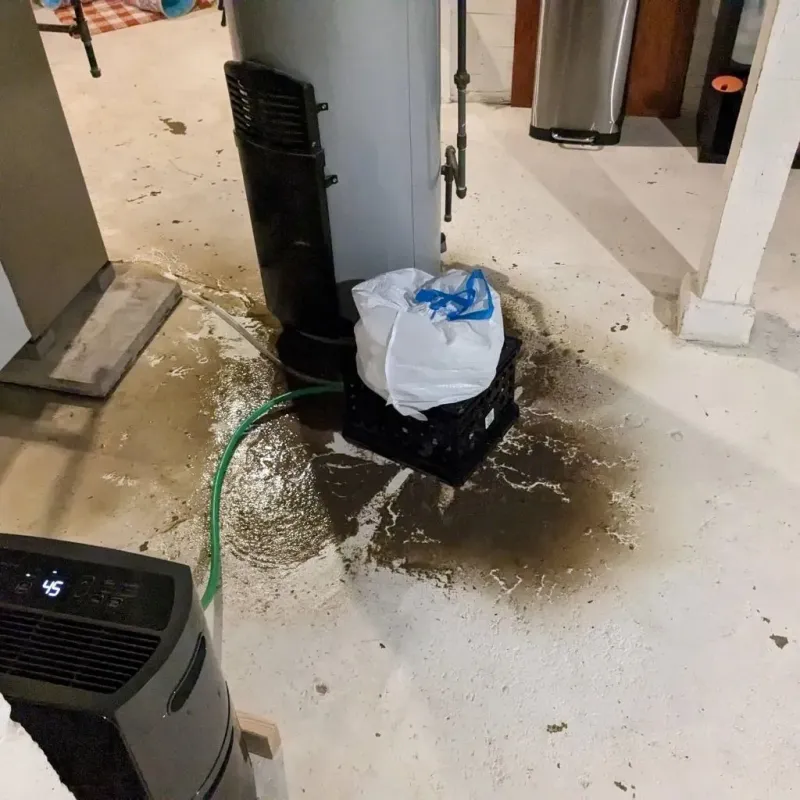 Sewage Backup Cleanup Service in Vinco, PA